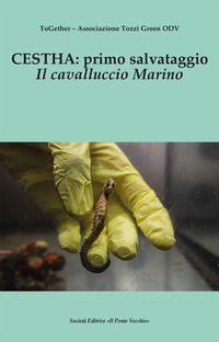 Foto non disponibile