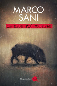 Foto non disponibile
