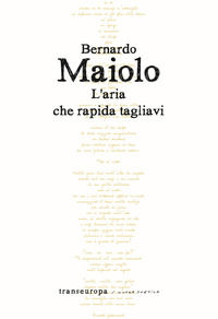 9791259901385 - L'aria che rapida tagliavi