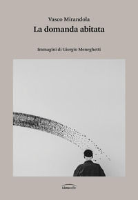 9791259972736 - La domanda abitata
