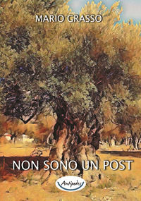 Foto non disponibile