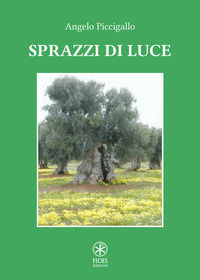 9791280063045 - Sprazzi di luce
