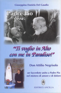 Foto non disponibile