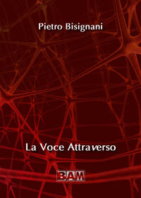 9791280442048 - La voce attraverso