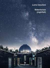 9791280681331 - Loris Cecchini. Waterbones (nightfall). Ediz. italiana e inglese