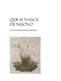 Foto non disponibile