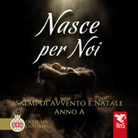 Foto non disponibile