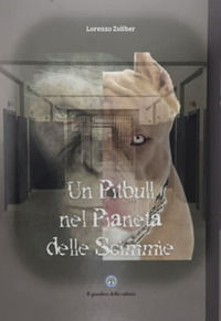Foto non disponibile