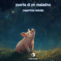Foto non disponibile